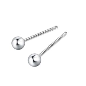 Simple Cercei din Argint 925