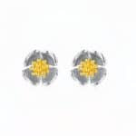 Piercing pentru Nas din Argint