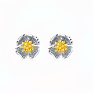 Essence Cercei din Argint 925