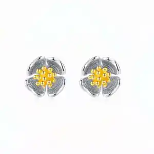 Essence Cercei din Argint 925 (5) Essence Cercei din Argint 925