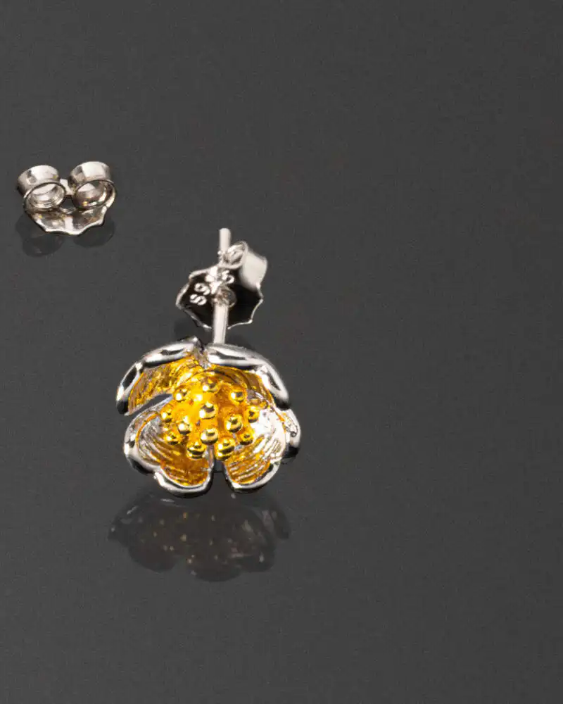 Essence Cercei din Argint 925