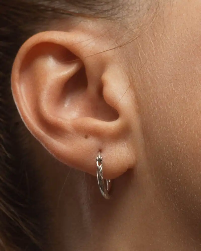 Cercei din Argint Delight