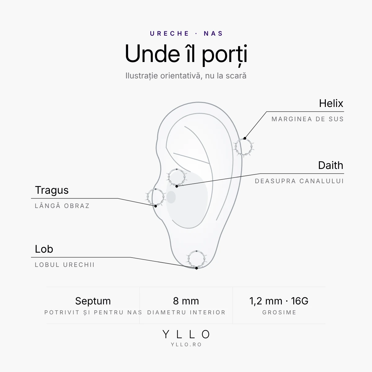 Unde porți un piercing titan ASTM F136 circular barbell cu țepi: daith, helix, tragus, lob și septum