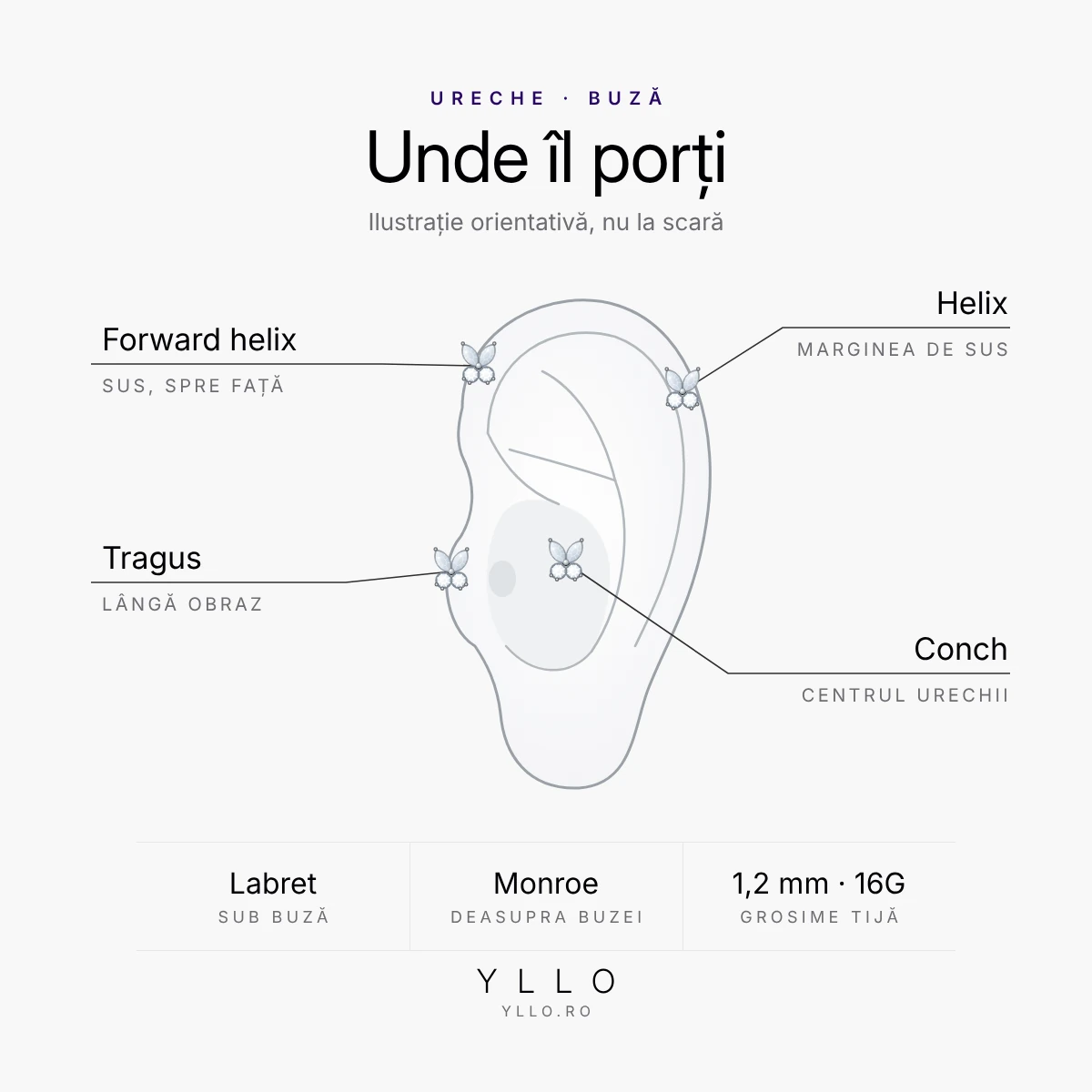 Unde porți un piercing titan ASTM F136 labret fluture argintiu: tragus, helix, forward helix, conch, labret și Monroe