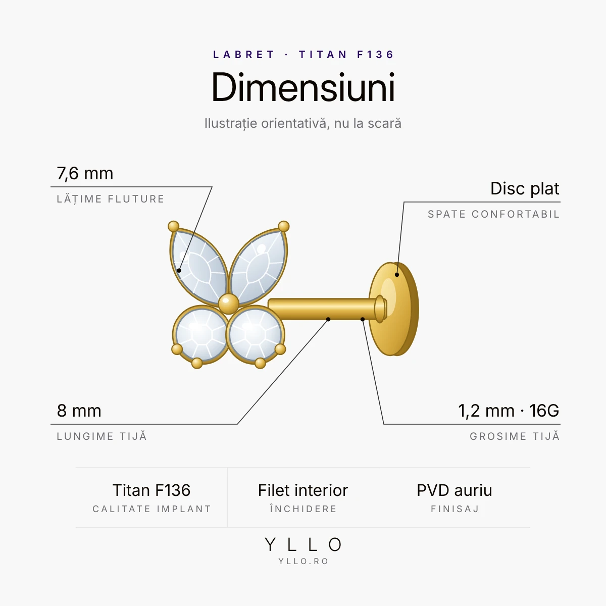Piercing titan ASTM F136 labret fluture auriu – dimensiuni: fluture de 7,6 mm, tijă 1,2 mm (16G) × 8 mm, disc plat