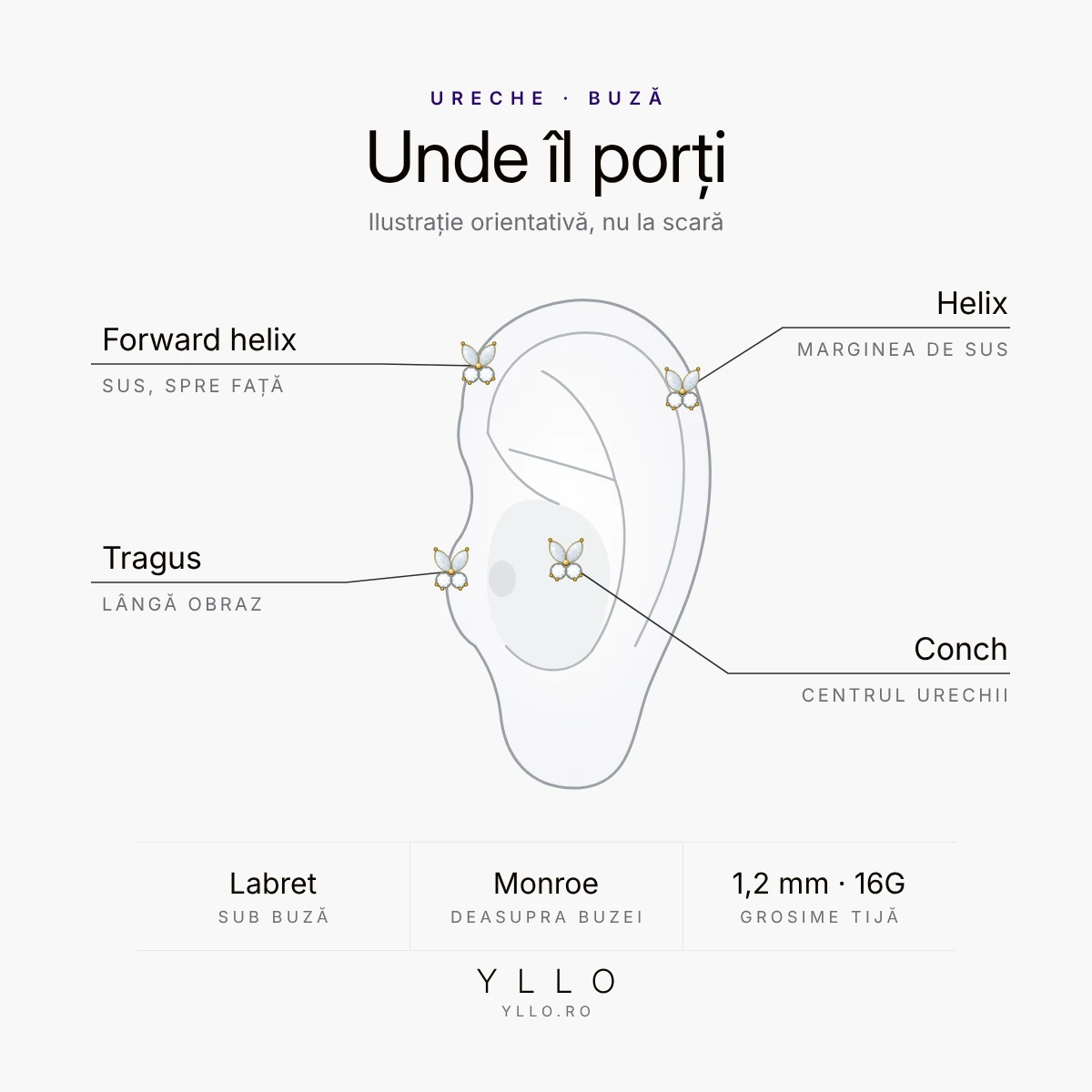 Unde porți un piercing titan ASTM F136 labret fluture auriu: tragus, helix, forward helix, conch, labret și Monroe