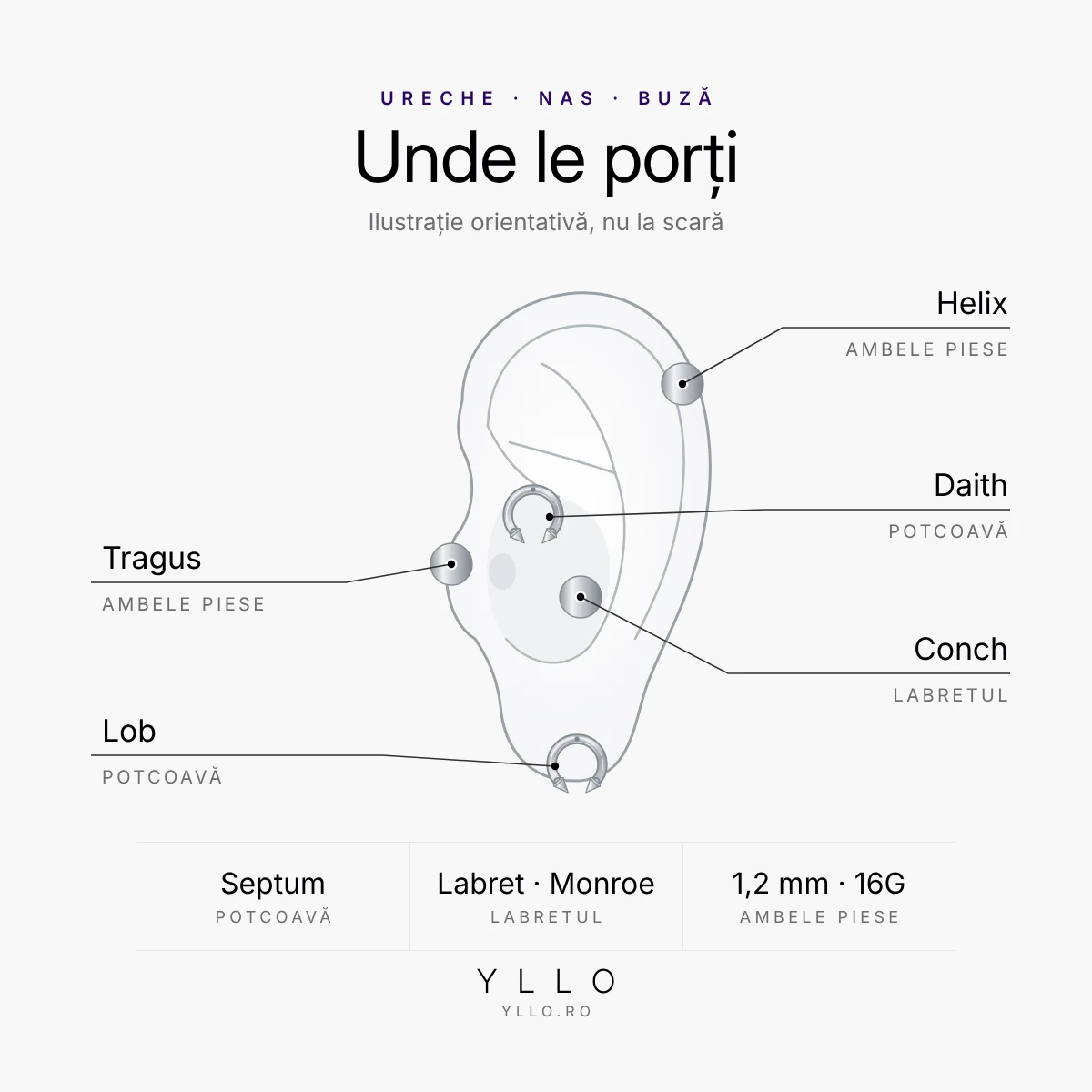 Unde porți un piercing titan ASTM F136 spike: helix, daith, tragus, conch, lob, septum, labret și Monroe
