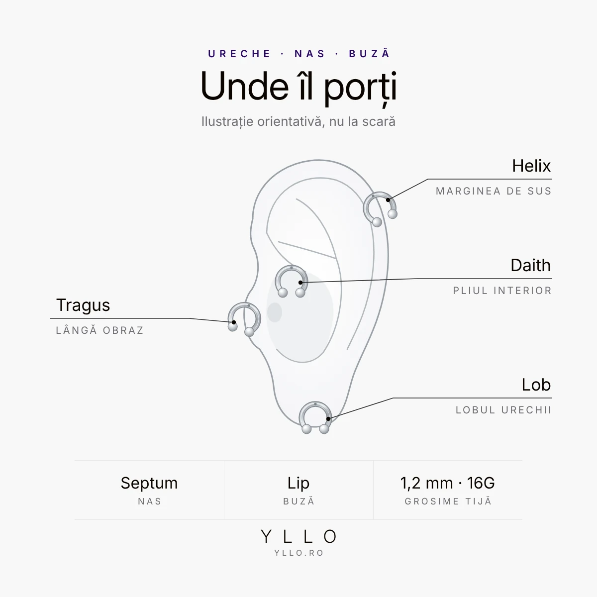Unde porți un piercing circular barbell 10mm: helix, daith, tragus, lob, septum și lip