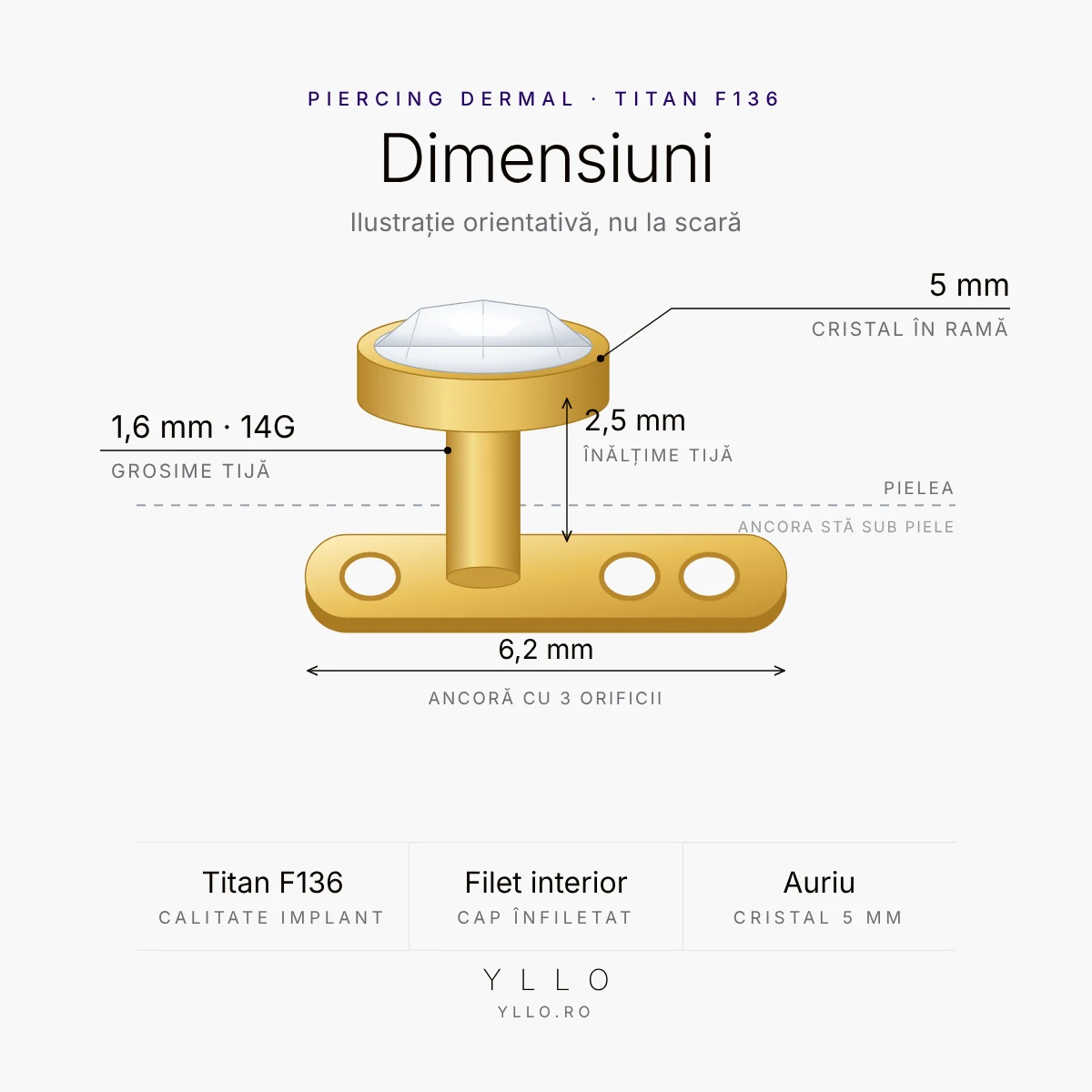 Piercing dermal auriu – dimensiuni: ancoră 6,2 mm cu 3 orificii, tijă 1,6 mm (14G) × 2,5 mm, cristal 5 mm