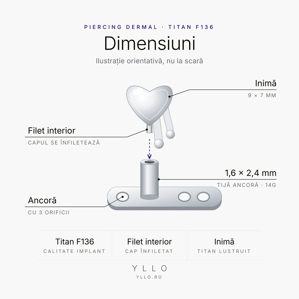 Piercing dermal cu inimă – dimensiuni: inimă 9 × 7 mm, tijă ancoră 1,6 × 2,4 mm, ancoră cu 3 orificii
